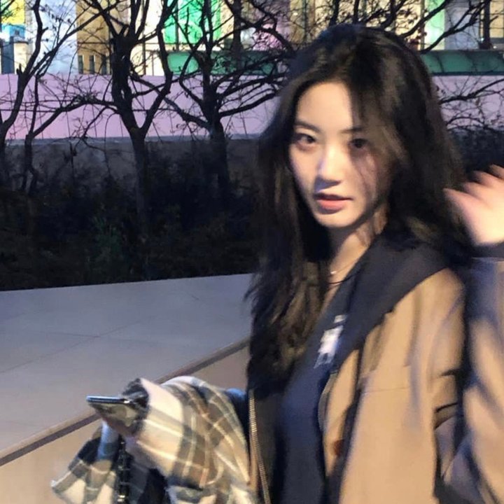 他人的领地封面